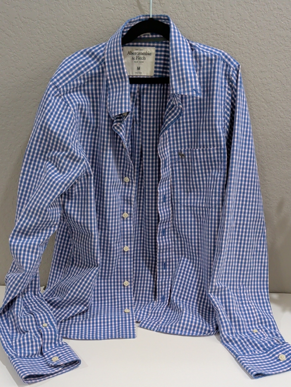 Abercrombie & Fitch Blue and White Gingham Button-Down Shirt